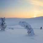 Winterlandschaft am Kiilopää (Suomi-Finnland)