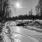 Winterlandschaft am Lech