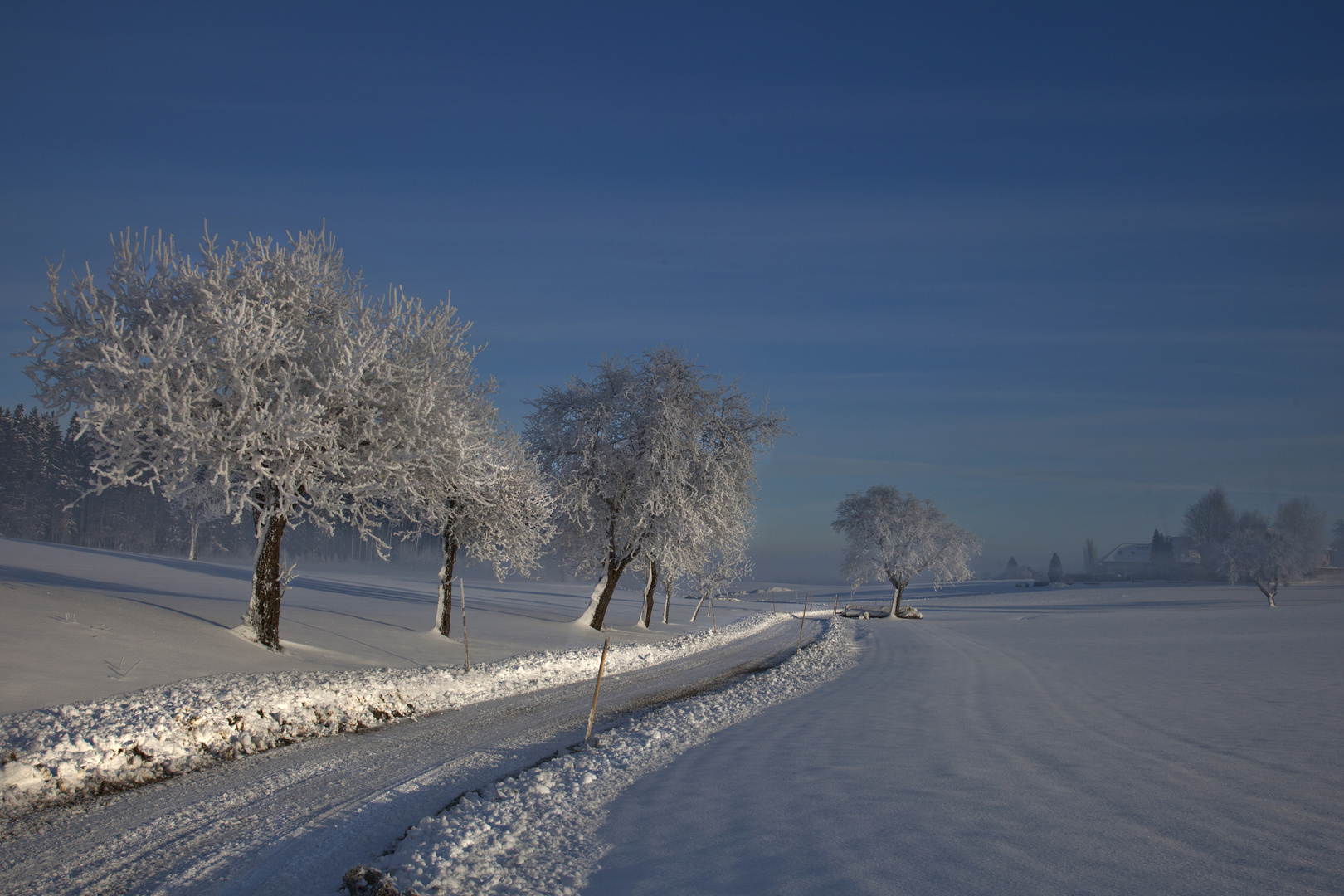 Winterlandschaft am Morgen