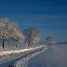 Winterlandschaft am Morgen