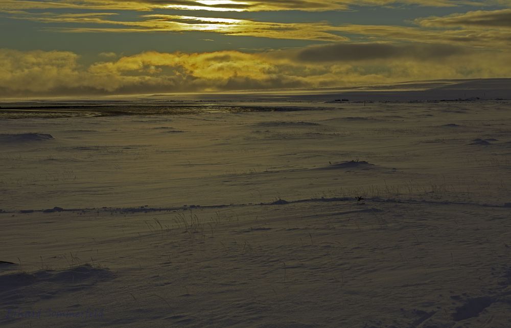 Winterlandschaft am Morgen