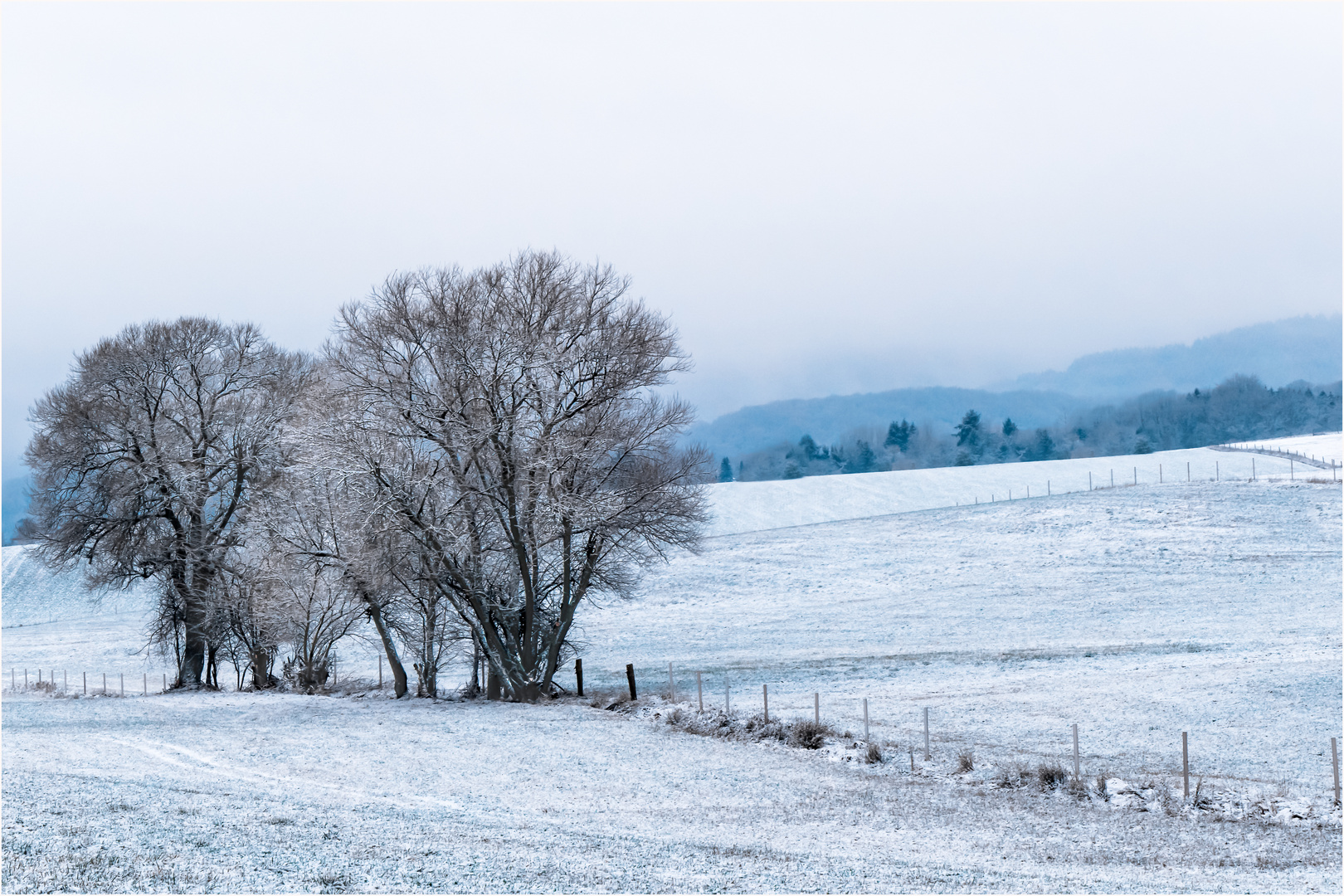 Winterlandschaft am Morgen