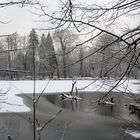 Winterlandschaft am Mühlenteich 