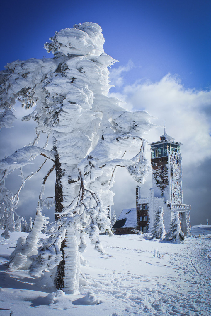 WInterlandschaft am Mummelsee