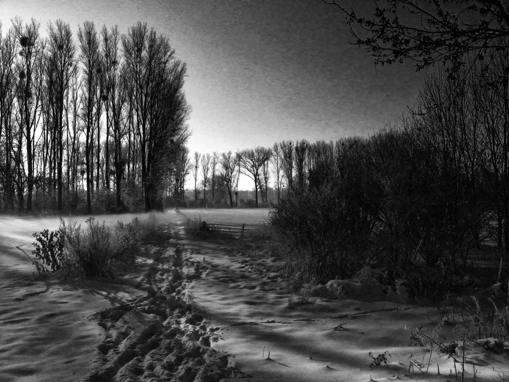 Winterlandschaft am Niederrhein