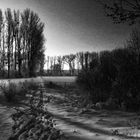 Winterlandschaft am Niederrhein