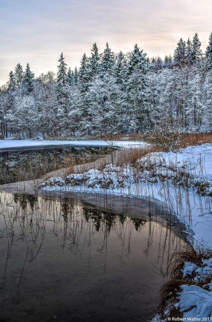 Winterlandschaft am Ostersee