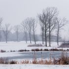 Winterlandschaft am Rodder Maar