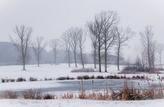 Winterlandschaft am Rodder Maar