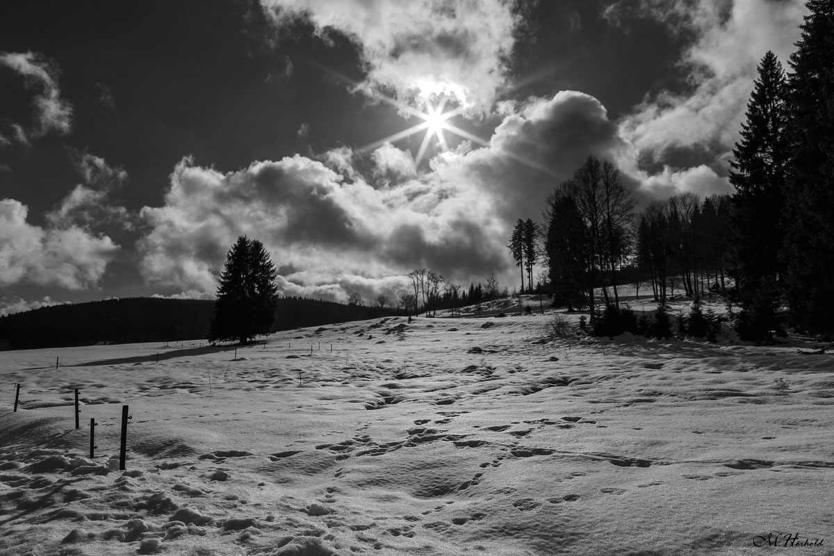 Winterlandschaft am Schluchsee