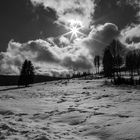 Winterlandschaft am Schluchsee