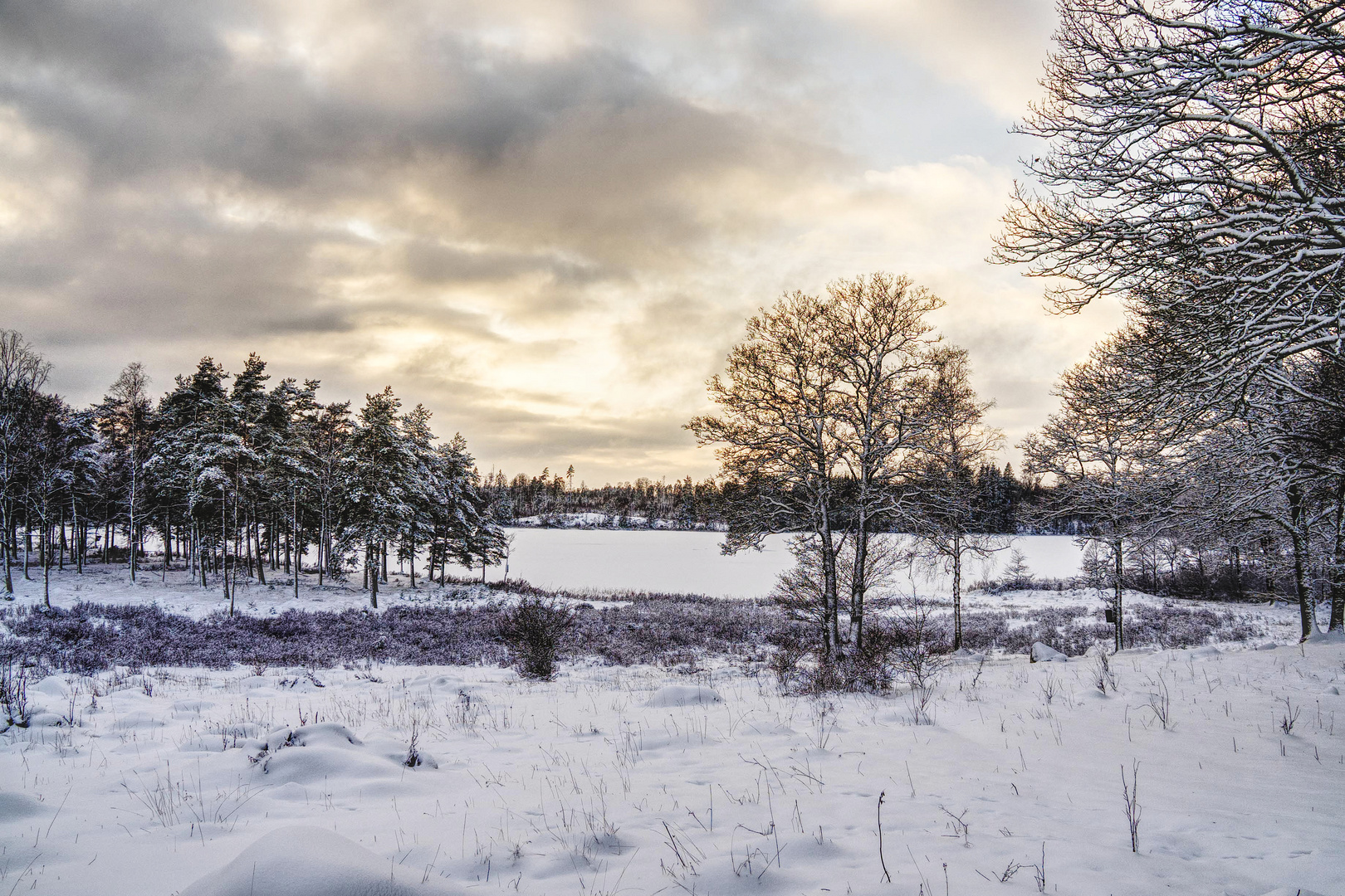 Winterlandschaft am See