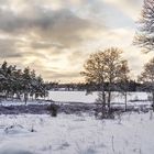 Winterlandschaft am See