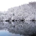 Winterlandschaft am See