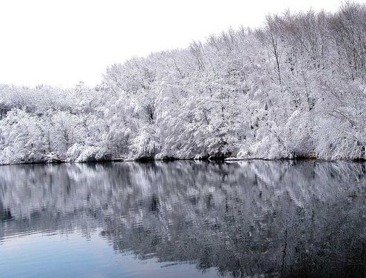 Winterlandschaft am See