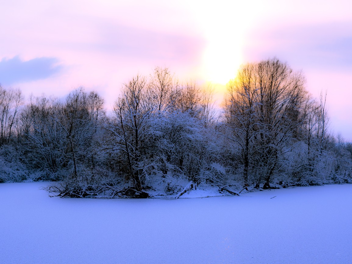 Winterlandschaft am See