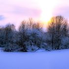 Winterlandschaft am See