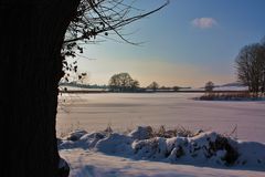 Winterlandschaft am See