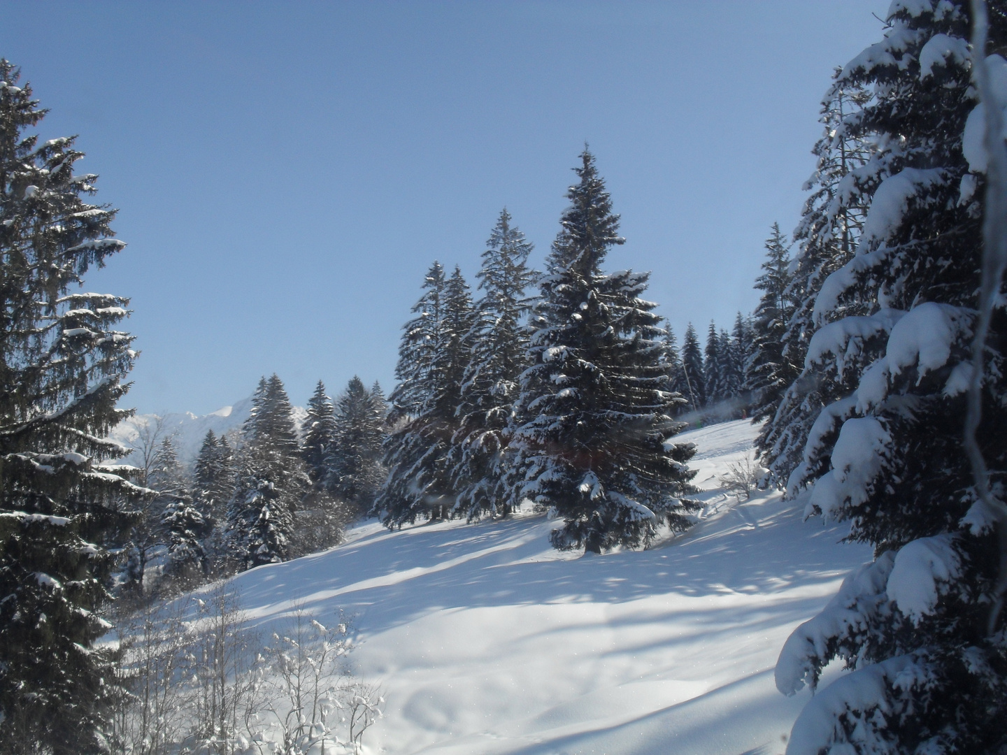 Winterlandschaft am Söllereck