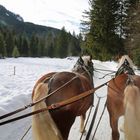 Winterlandschaft am Tegernsee.