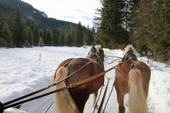 Winterlandschaft am Tegernsee.