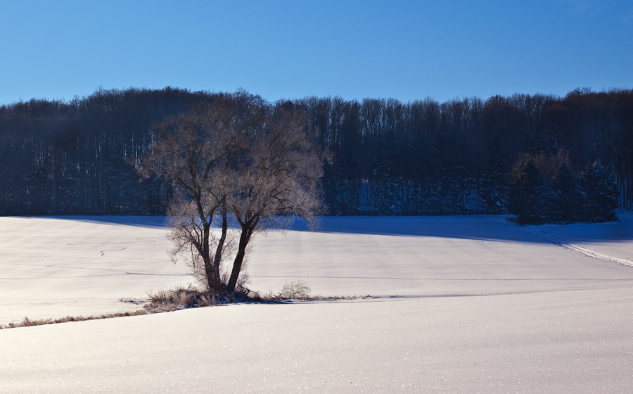 Winterlandschaft am Teuto