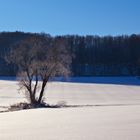 Winterlandschaft am Teuto