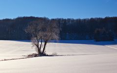 Winterlandschaft am Teuto