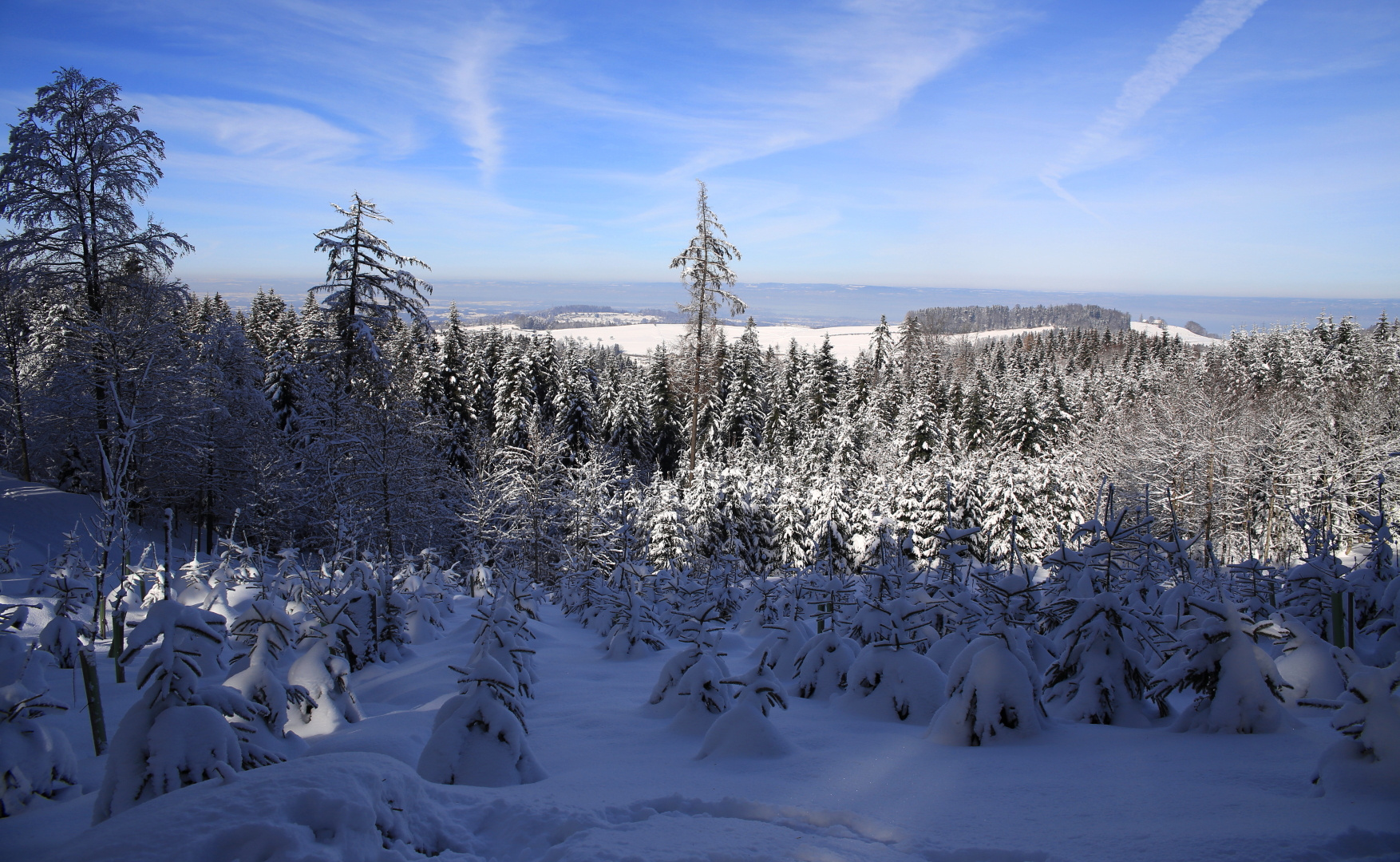 Winterlandschaft am Valentinstag