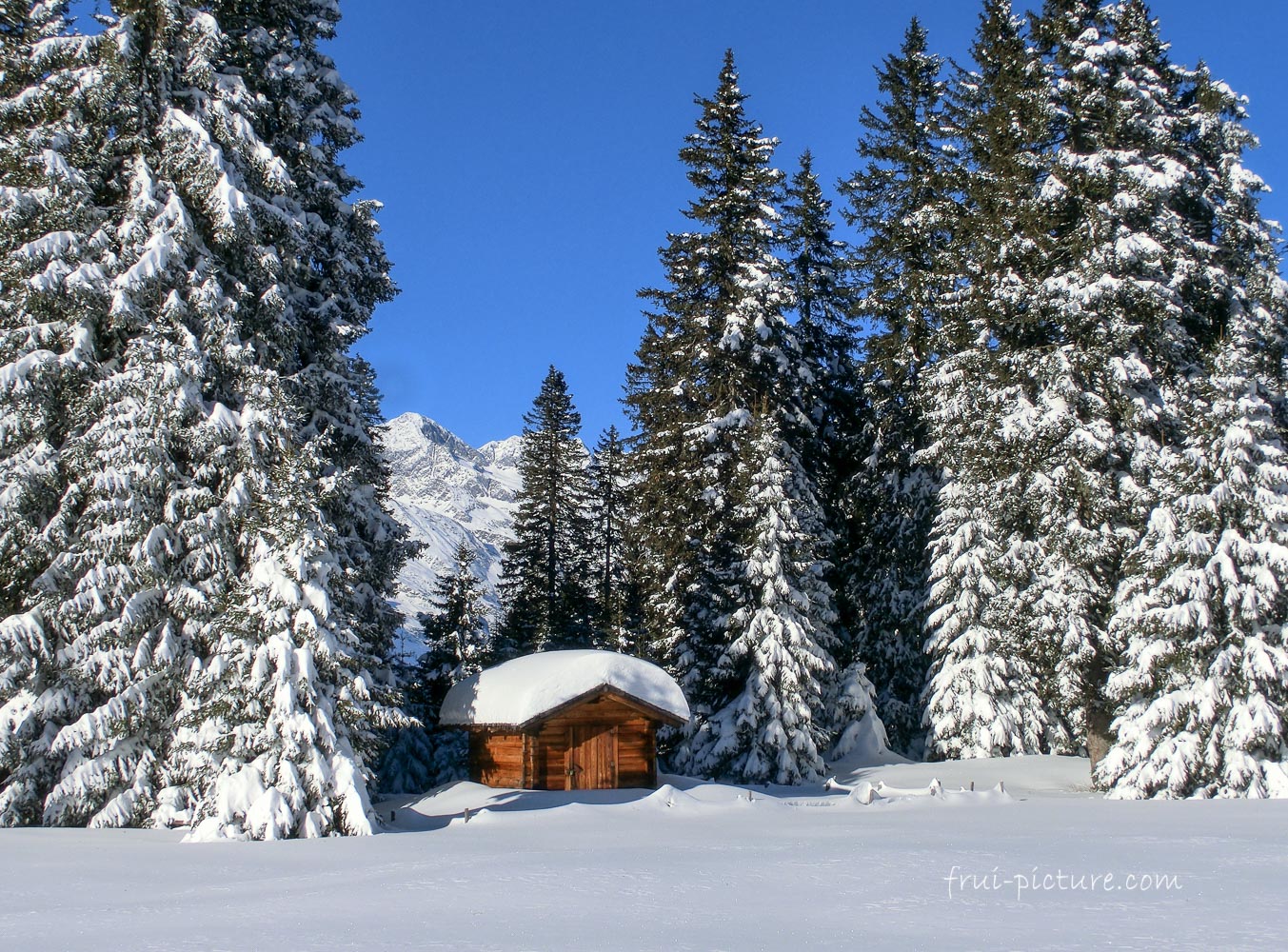 Winterlandschaft am Vigiljoch (Südtirol)