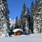 Winterlandschaft am Vigiljoch (Südtirol)