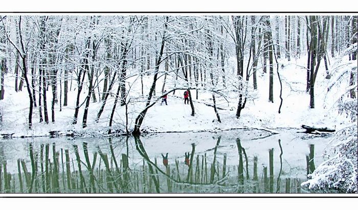 Winterlandschaft am Weiher