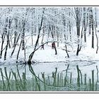 Winterlandschaft am Weiher