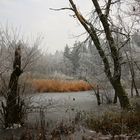 Winterlandschaft am Weiher