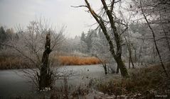 Winterlandschaft am Weiher