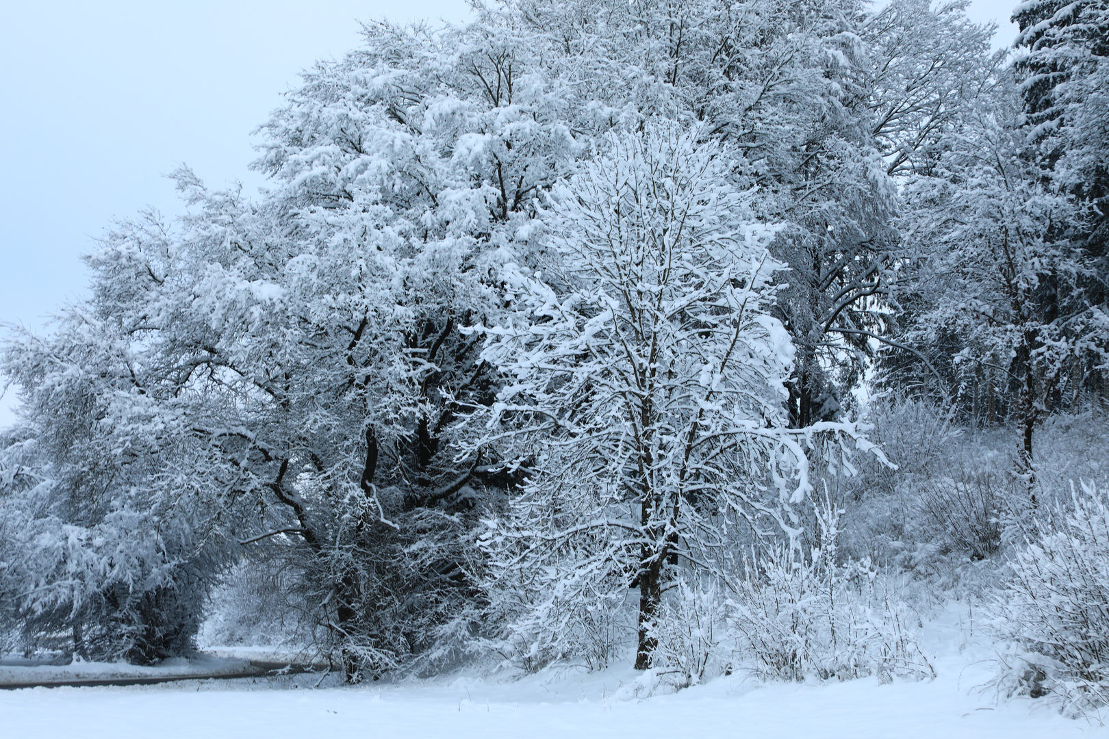 Winterlandschaft an der Ablach 