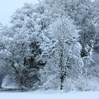 Winterlandschaft an der Ablach 