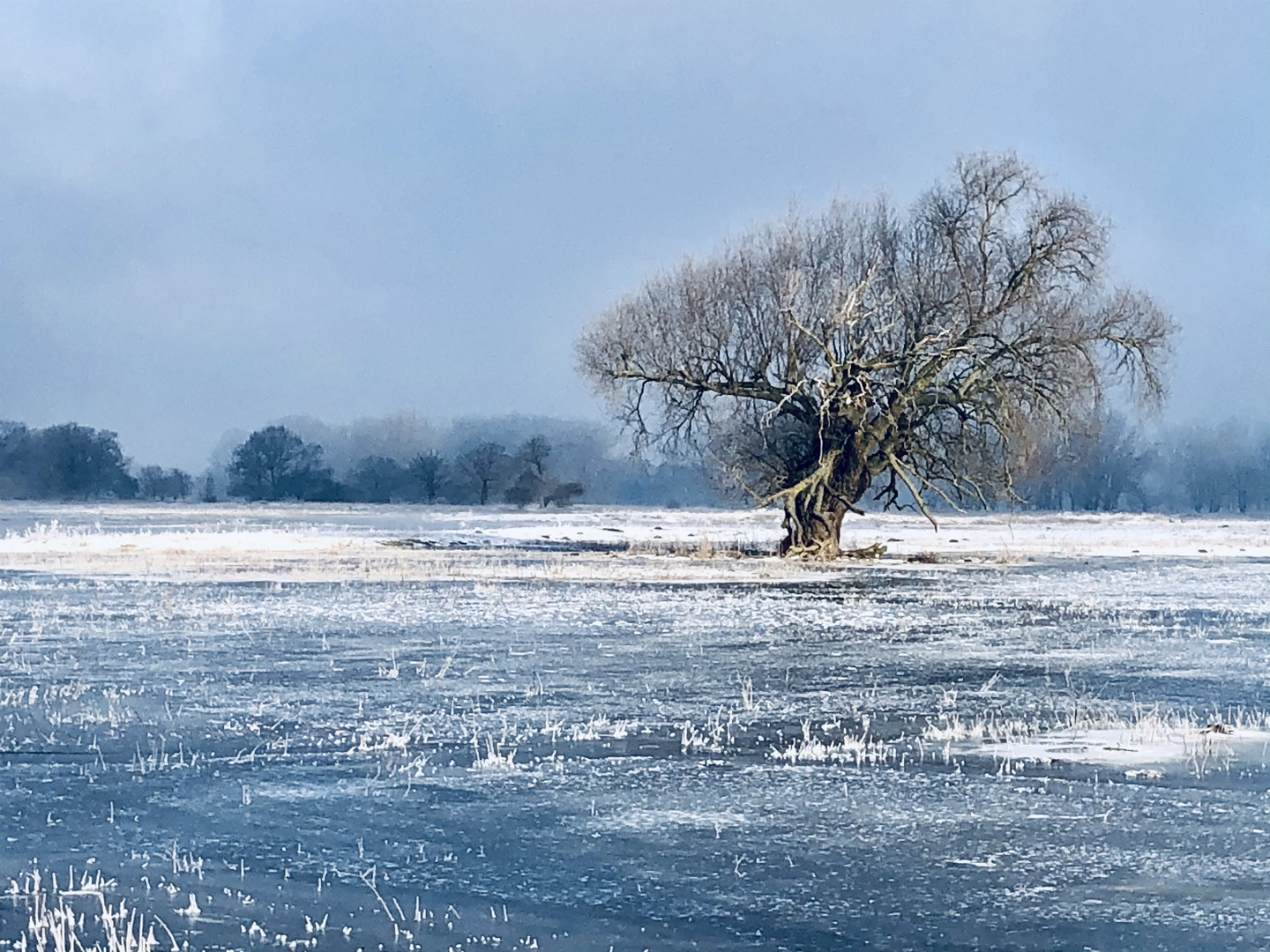 Winterlandschaft an der Elbe