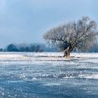 Winterlandschaft an der Elbe