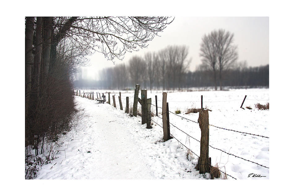 Winterlandschaft an der Erft 2