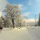 Winterlandschaft an der Schwarzwaldhochstraße
