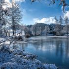 Winterlandschaft an einem Weiher