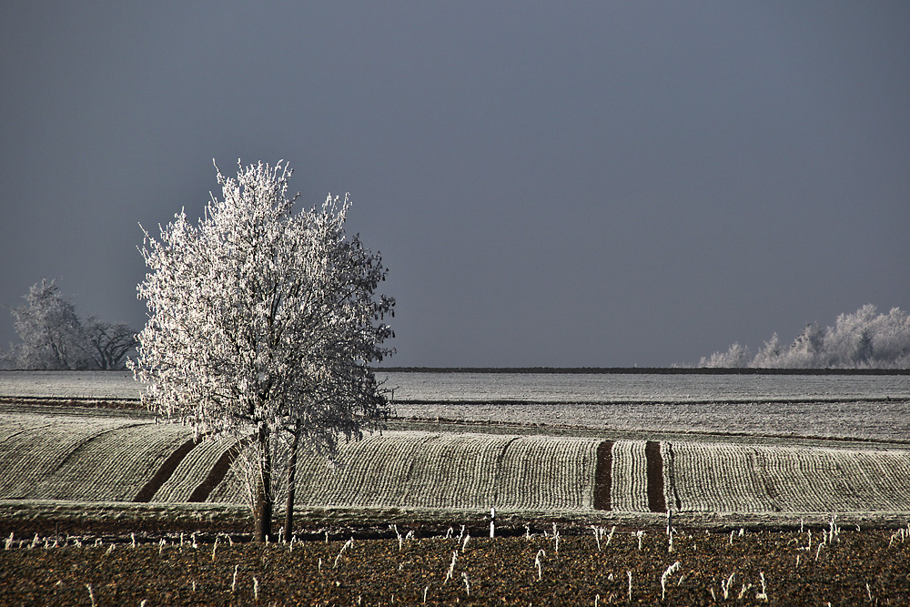 Winterlandschaft an Neujahr 2017