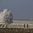 Winterlandschaft an Neujahr 2017