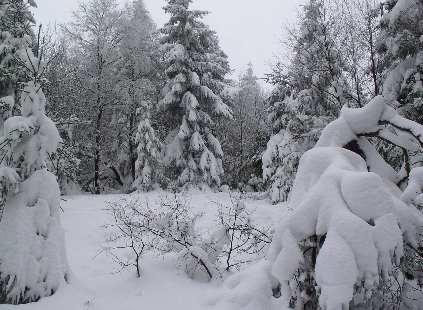 Winterlandschaft auf dem ...