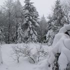 Winterlandschaft auf dem ...