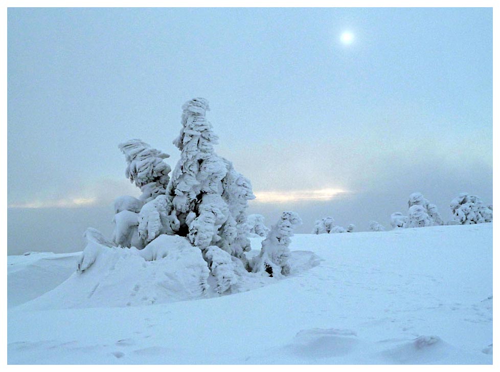 Winterlandschaft auf dem Brocken