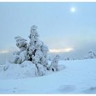 Winterlandschaft auf dem Brocken