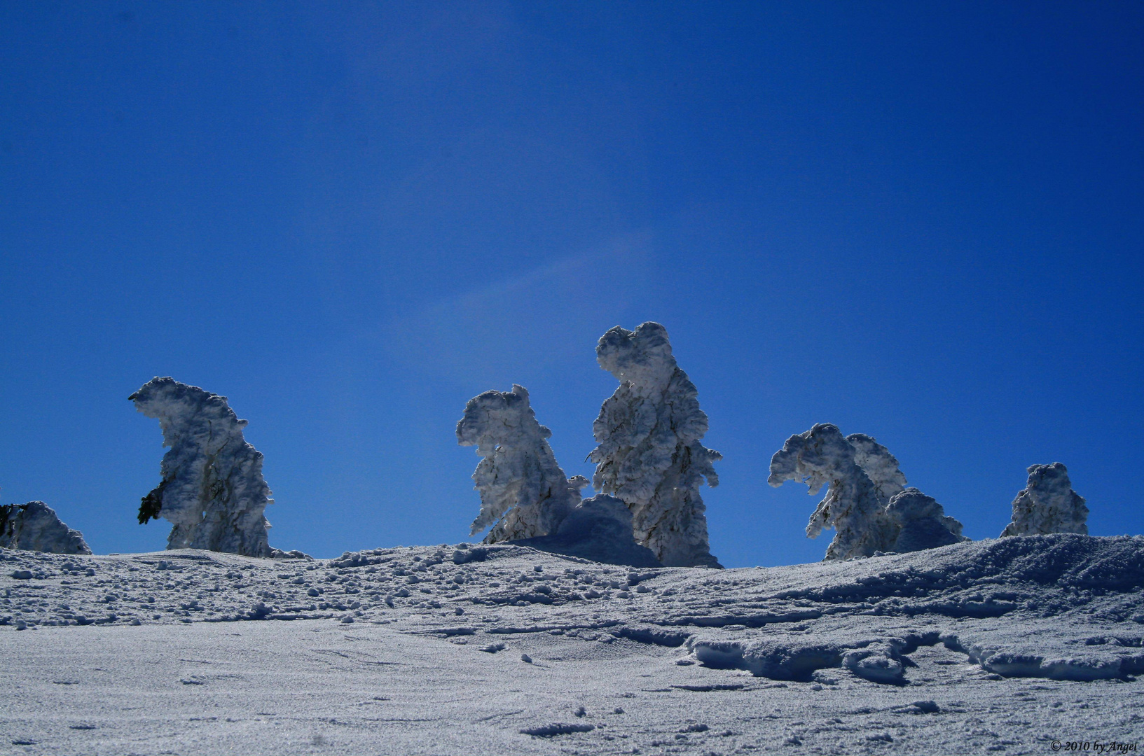 Winterlandschaft auf dem Brocken...