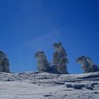 Winterlandschaft auf dem Brocken...